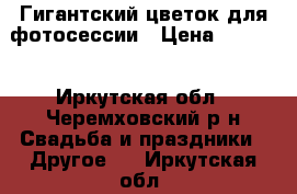 Гигантский цветок для фотосессии › Цена ­ 1 800 - Иркутская обл., Черемховский р-н Свадьба и праздники » Другое   . Иркутская обл.